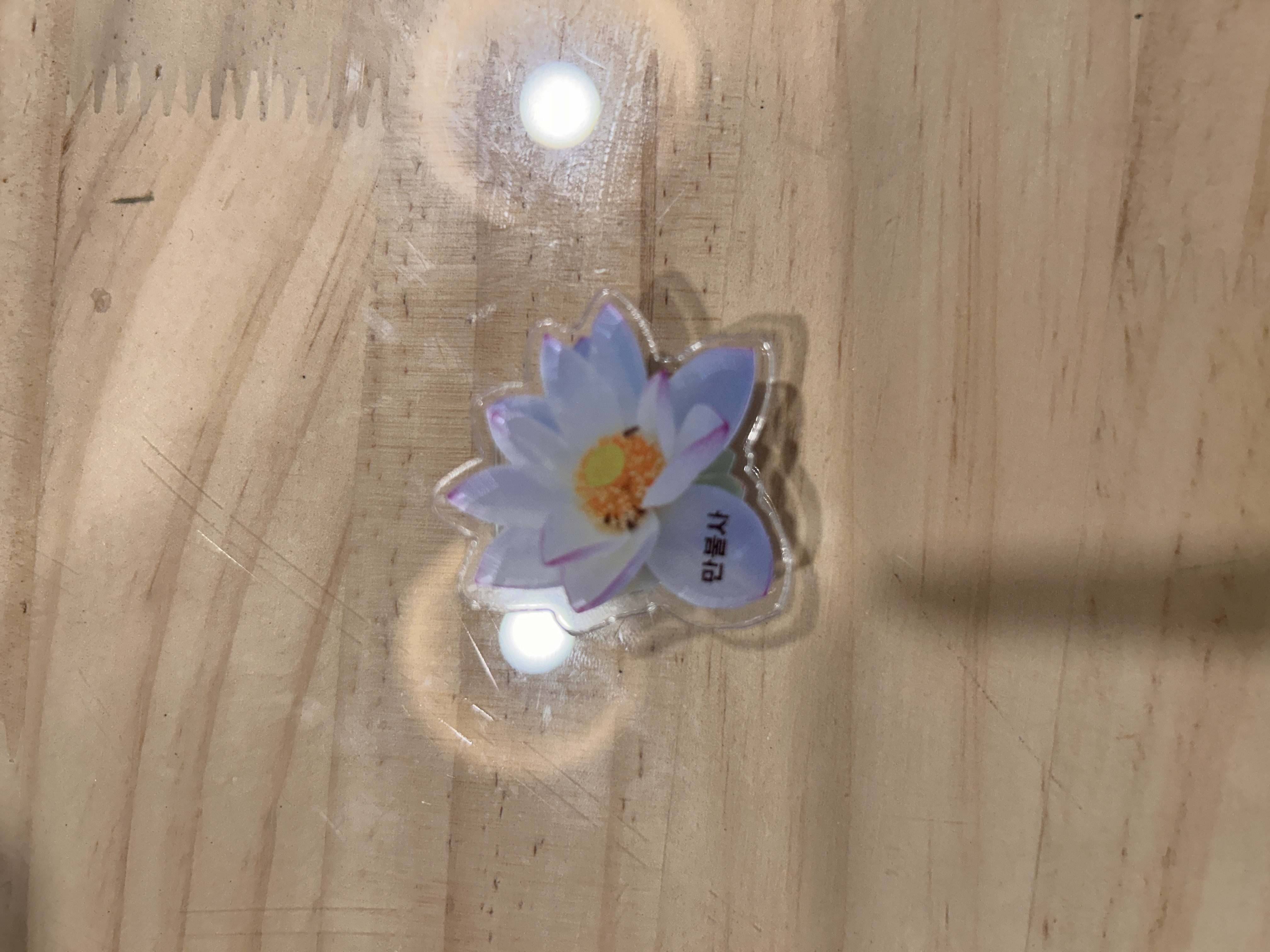 연꽃 마그넷